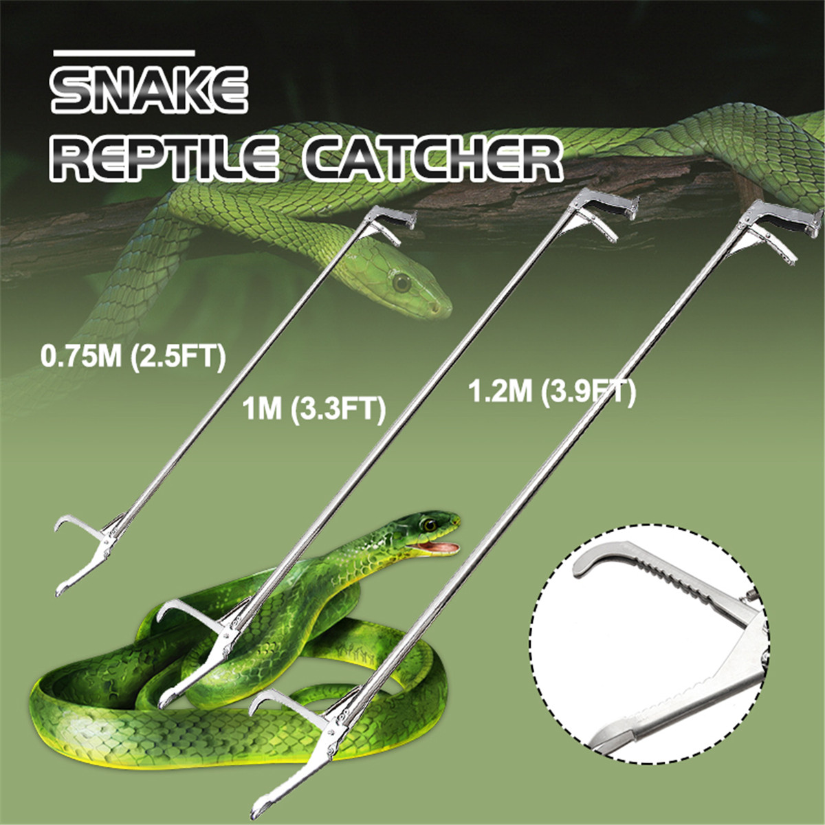 The Best Tool to Kill a Snake: What to Choose for a Safe Encounter