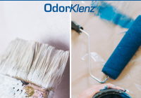 Dealing with Paint Odor in House: A Complete Guide