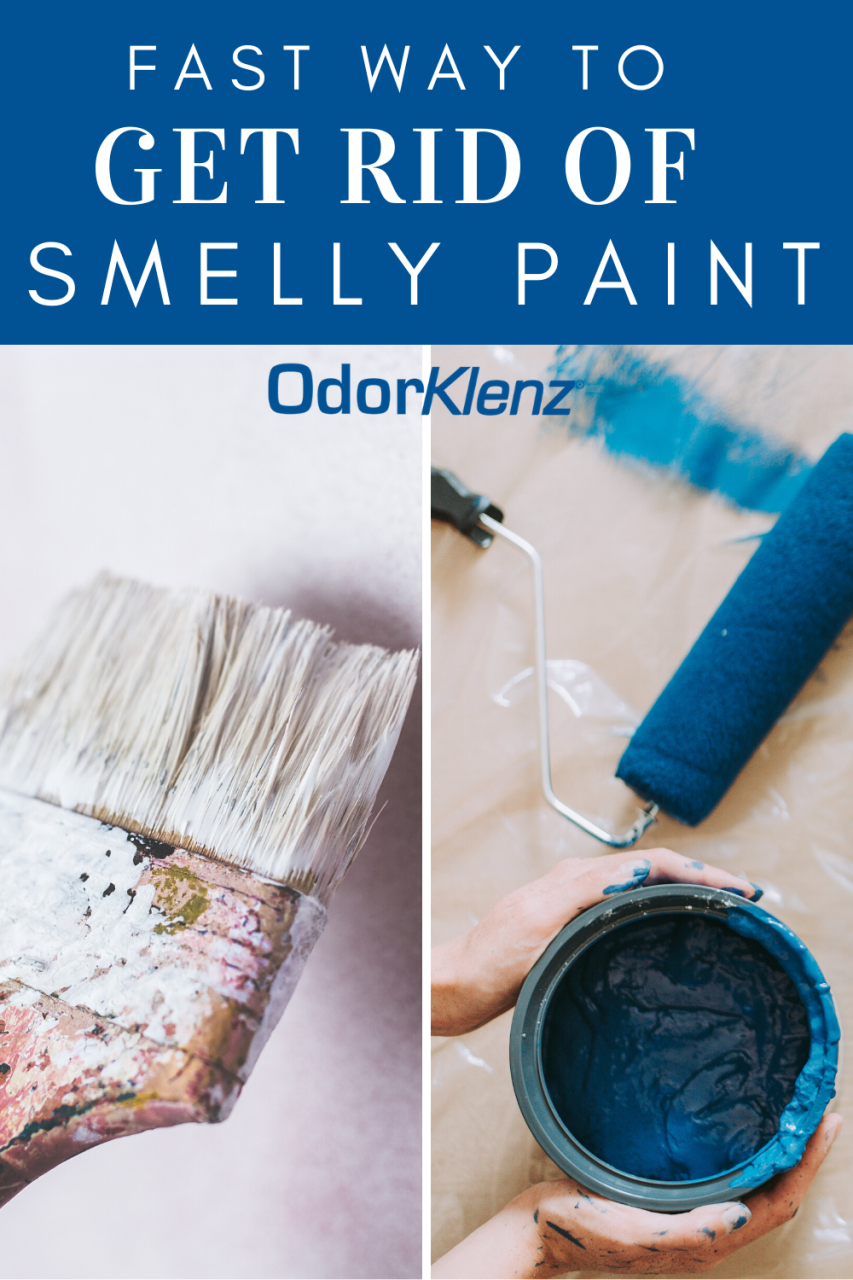 Dealing with Paint Odor in House: A Complete Guide